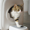 Effortless Grooming for Happy Cats: Meet the PawSwing AutoComb