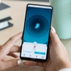 Hide Your Phone Number Online with Surfshark Alternative Number